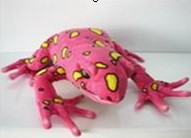 frog