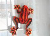 Flying Frog