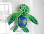 big eyes turtle