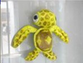big eyes turtle