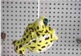 Thorn dolphin pendant