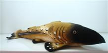 Long kiss dogfish