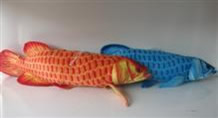 Arowana