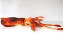 red squid