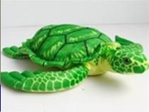New Turtles