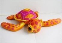 big eyes turtle