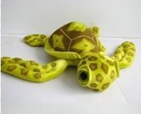 big eyes turtle