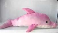 Dolphins