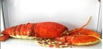 Green Lobster