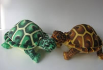 European tortoises