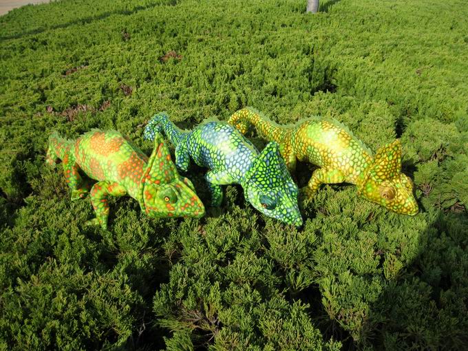 chameleon