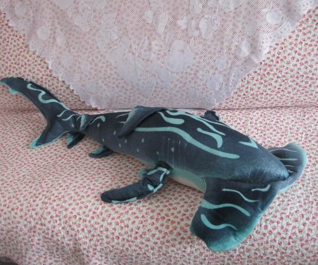 Hammerhead shark