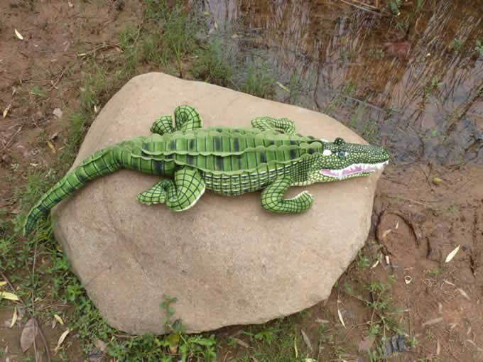 green crocodile