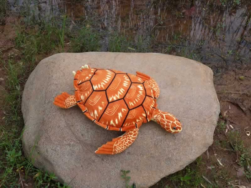 New Turtles