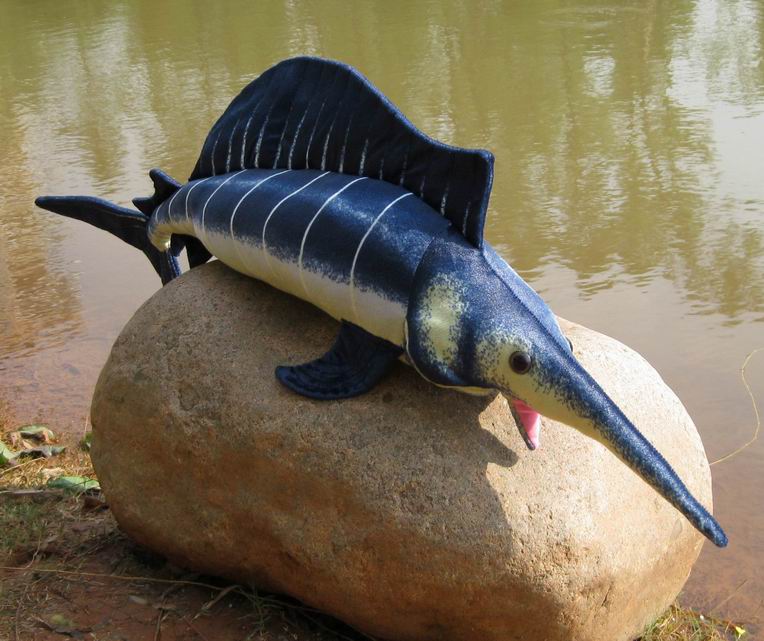 Sailfish