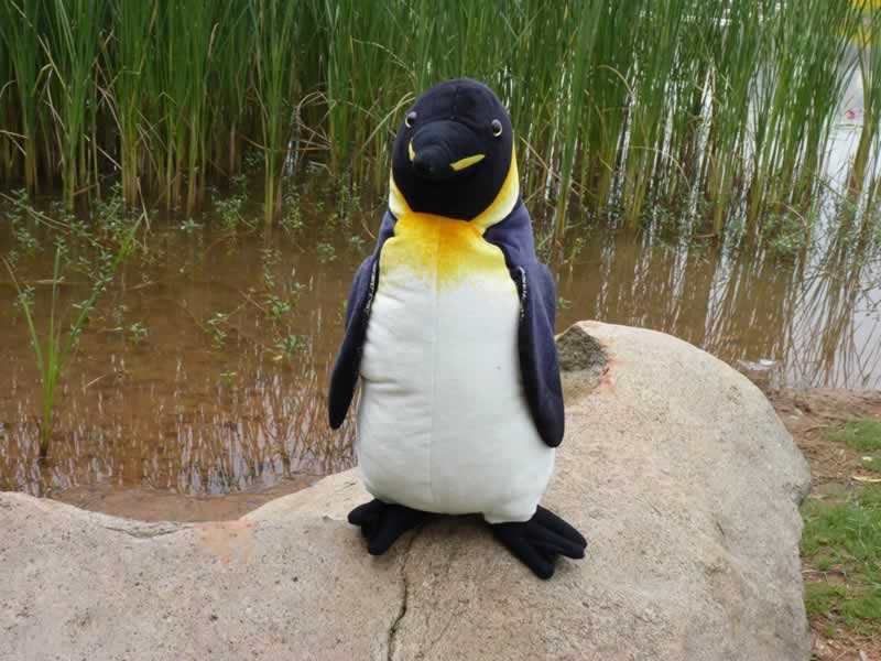 Penguins