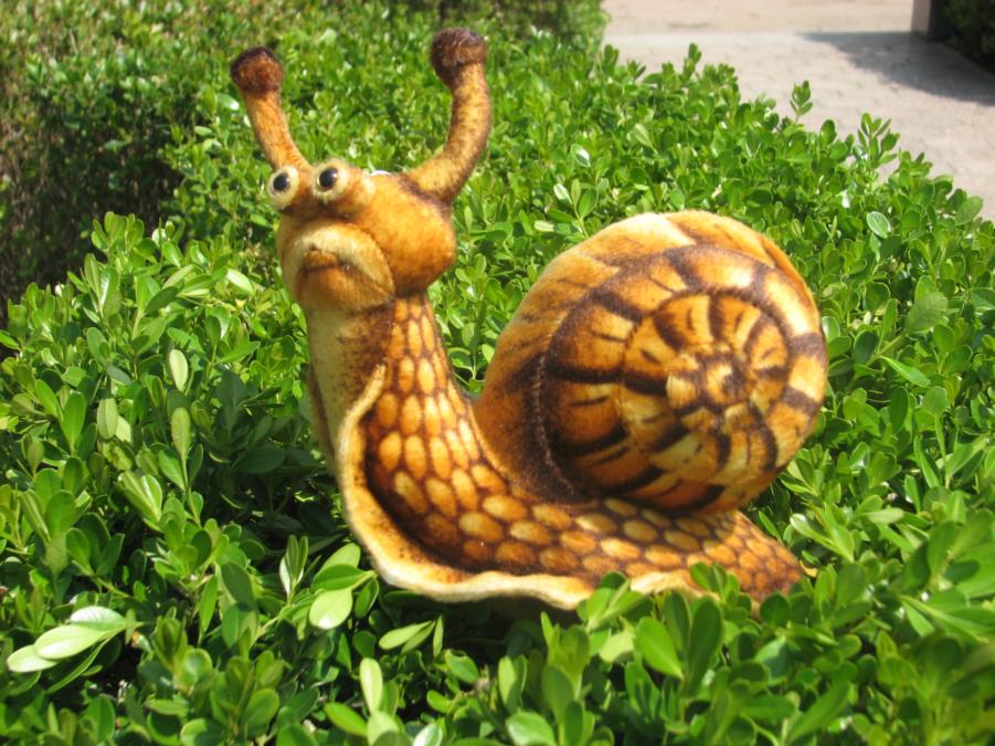 snail