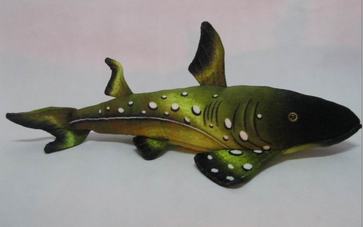 Long kiss dogfish