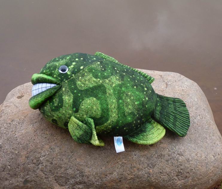 Pig Fish