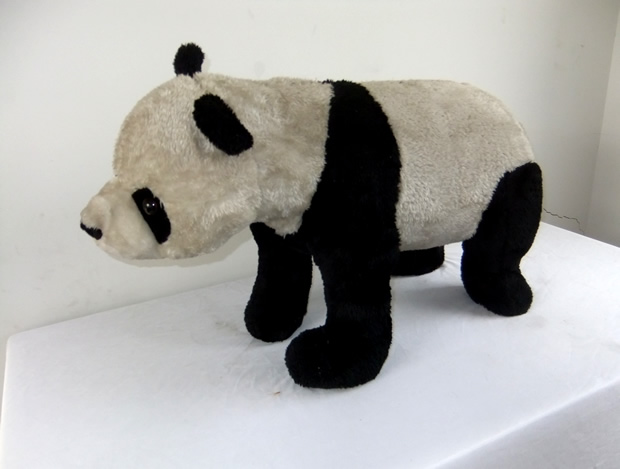 Giant Panda