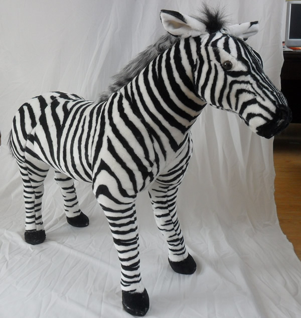 Zebra