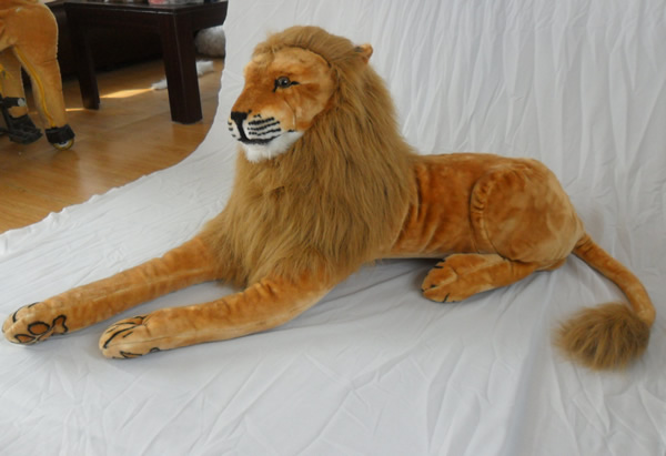 side-lying lion