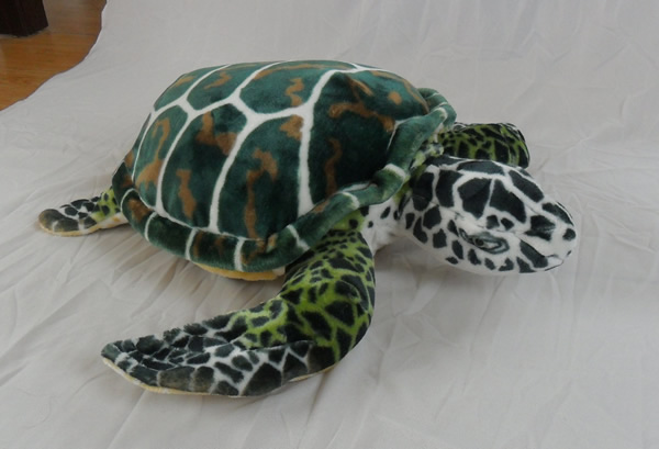 Tortoise