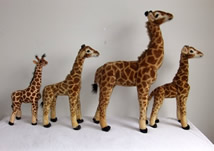 Standing Giraffe