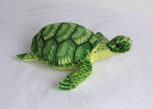 Tortoise
