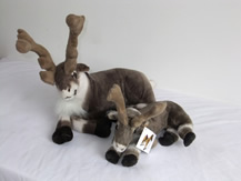 Lying reindeer