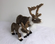 Standing reindeer