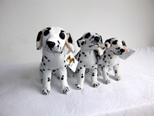 Spotted dog