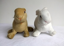 Rabbit