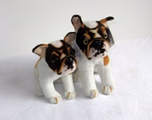 Bulldog