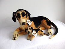 side-lying dog