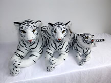 super white tiger