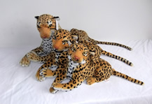 Brown Leopard