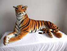 side-lying tiger