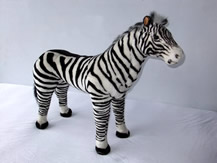 Zebra