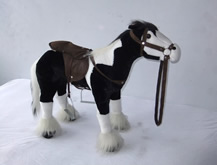 Black White Horse