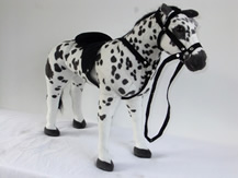 Spotted horse