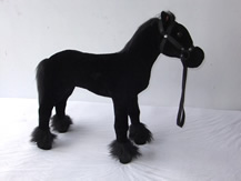 Black Horse