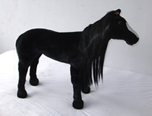 Black Horse