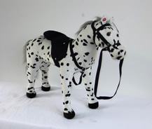 Spotted horse